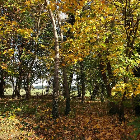 Boddenfrosch, Ruhig Gelegen Mitten Im Ortskern Von Mit Sauna Und Kostenlosem Parkplatz Wieck